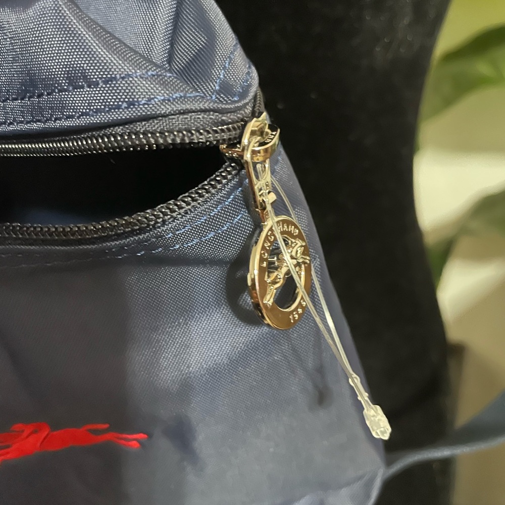Longchamp Navy Blue Backpack - Picture 4 of 5
